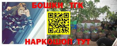 стафф Кандалакша