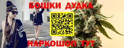 стафф Кандалакша