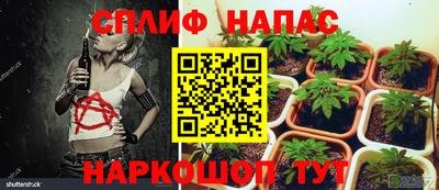 стафф Кандалакша