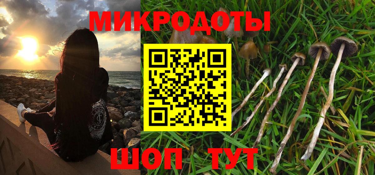 Галлюциногенные грибы мицелий  магазин    Североморск  Вход с VPN 
