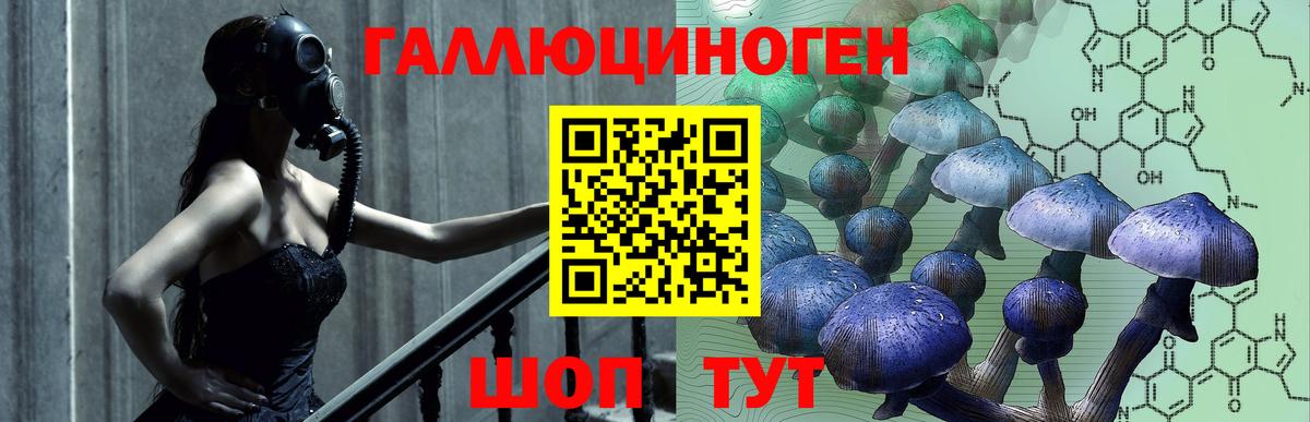 Псилоцибиновые грибы мицелий Североморск